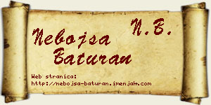 Nebojša Baturan vizit kartica